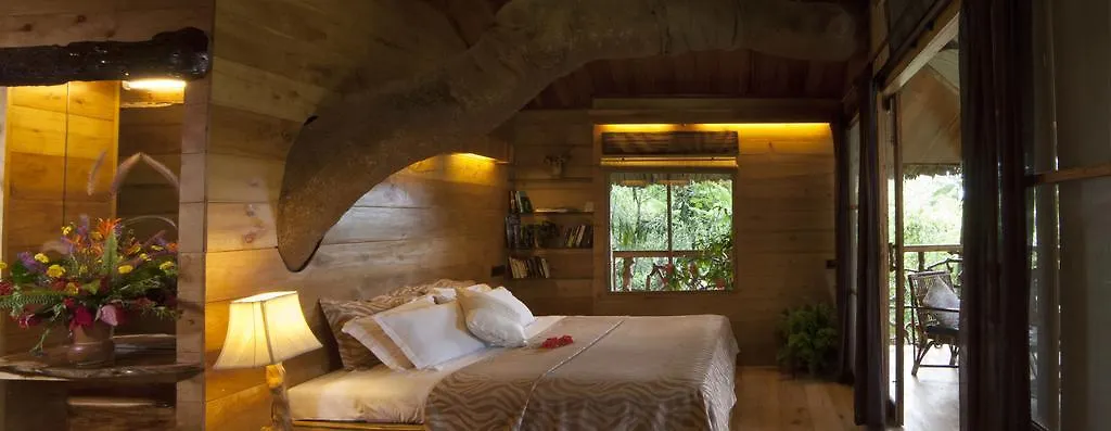 Tranquil Resort - Blusalzz Collection, Wayanad - Kerala