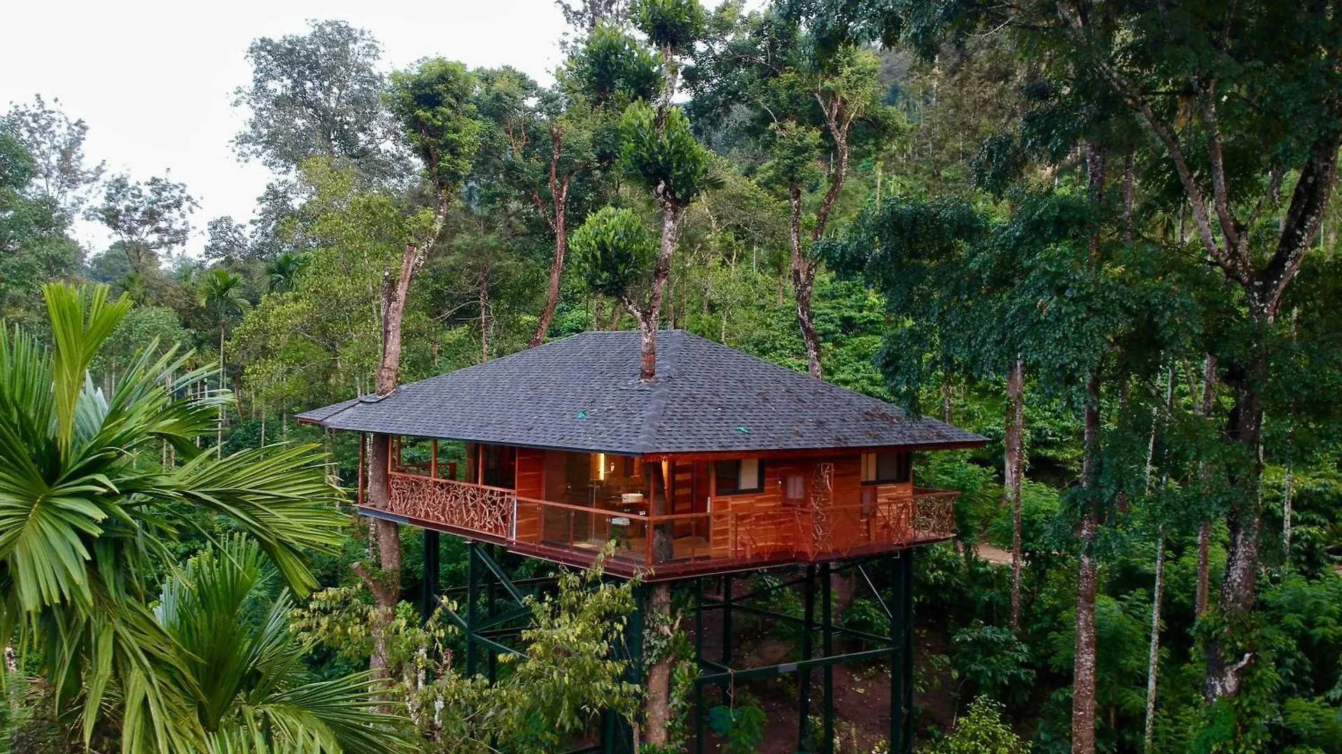 Tranquil Resort - Blusalzz Collection, Wayanad - Kerala India