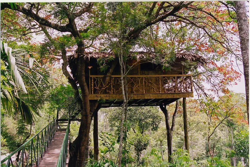 ****  Tranquil Resort - Blusalzz Collection, Wayanad - Kerala India