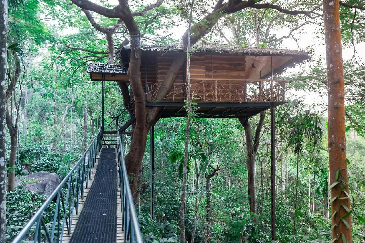 ****  Tranquil Resort - Blusalzz Collection, Wayanad - Kerala India