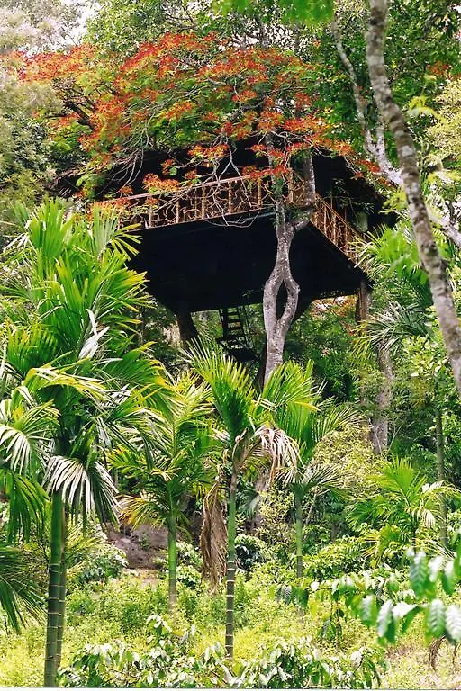 ****  Tranquil Resort - Blusalzz Collection, Wayanad - Kerala India