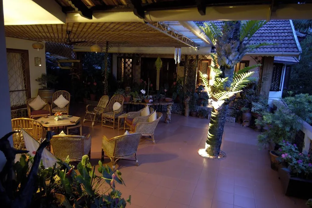 Tranquil Resort - Blusalzz Collection, Wayanad - Kerala