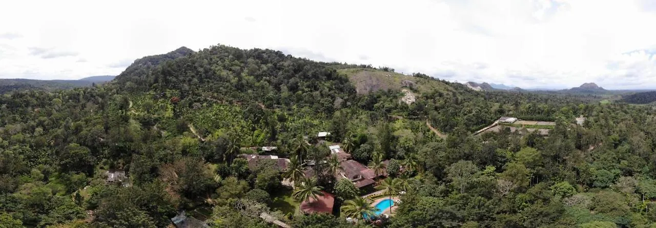 ****  Tranquil Resort - Blusalzz Collection, Wayanad - Kerala India